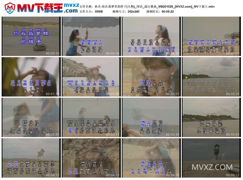 佚名-你在我梦里的样子(人物)_国语_流行歌曲_MB201029